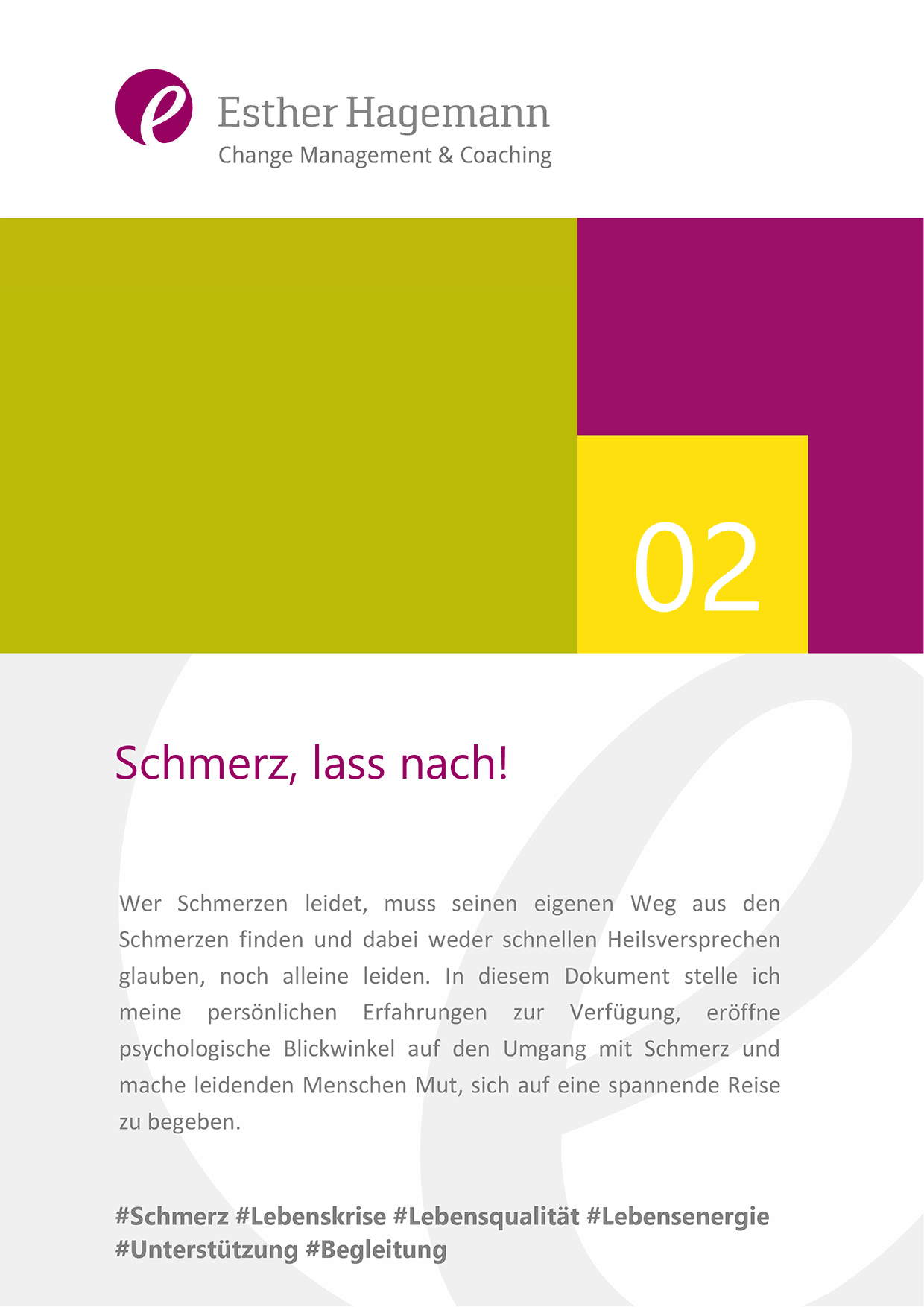 Fachbeitrag 02 Schmerz Lass Nach